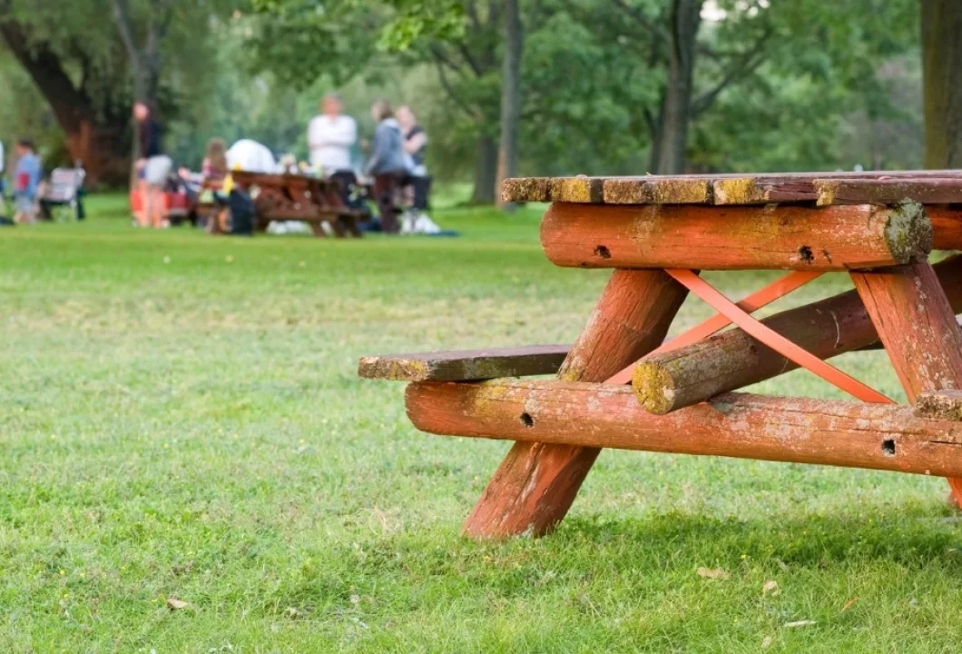 Company Picnic vs Corporate Travel: Which Yields Better ROI?