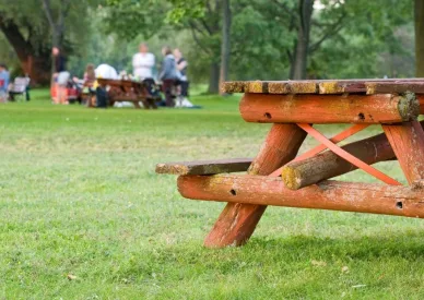 Şirket Pikniği mi Kurumsal Gezi mi? Hangisi Daha Verimli?