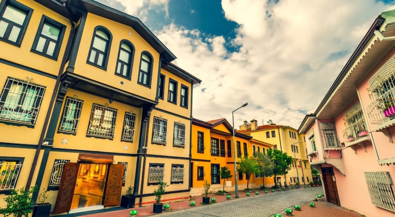 Bursa