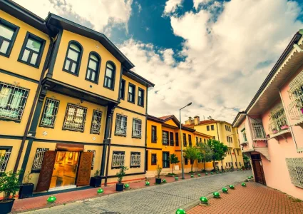 Bursa