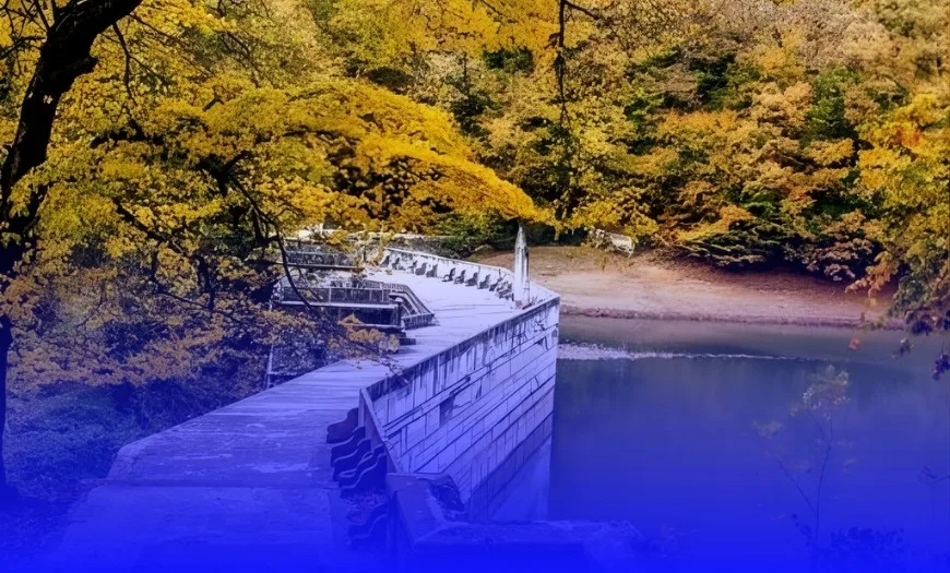 Belgrad Forest Corporate Trekking Tour