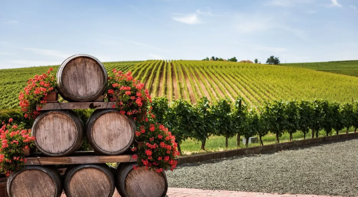 Thrace Vineyards Corporate Trip