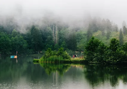 Corporate Nature and Stillness Trip