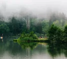 Corporate Nature and Stillness Trip